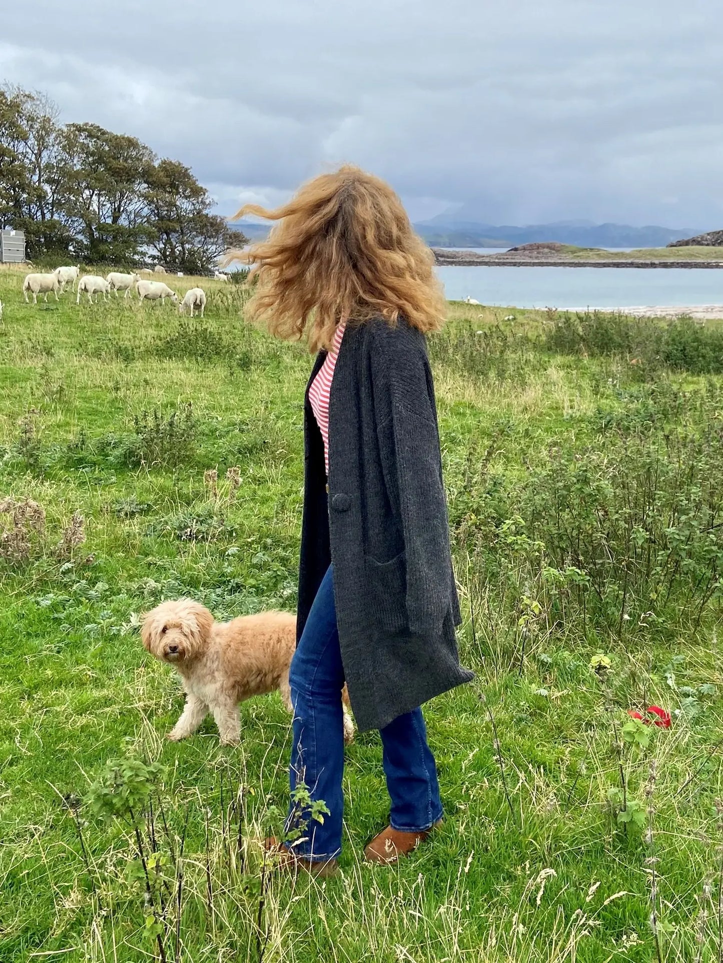 Alpaca Rib Strik Cardigan